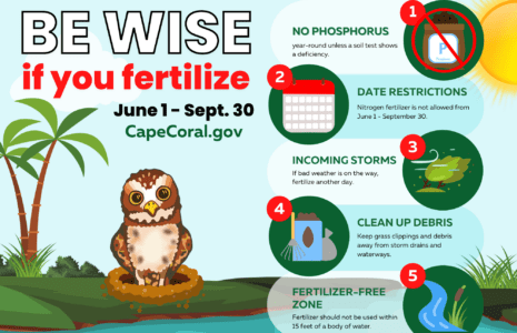 article image - 